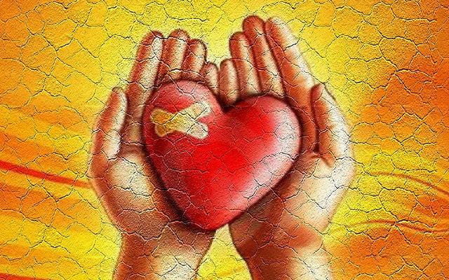 5 bài học từ vợ cũ tỷ phú Amazon giúp hàng triệu phụ nữ đổi đời-1