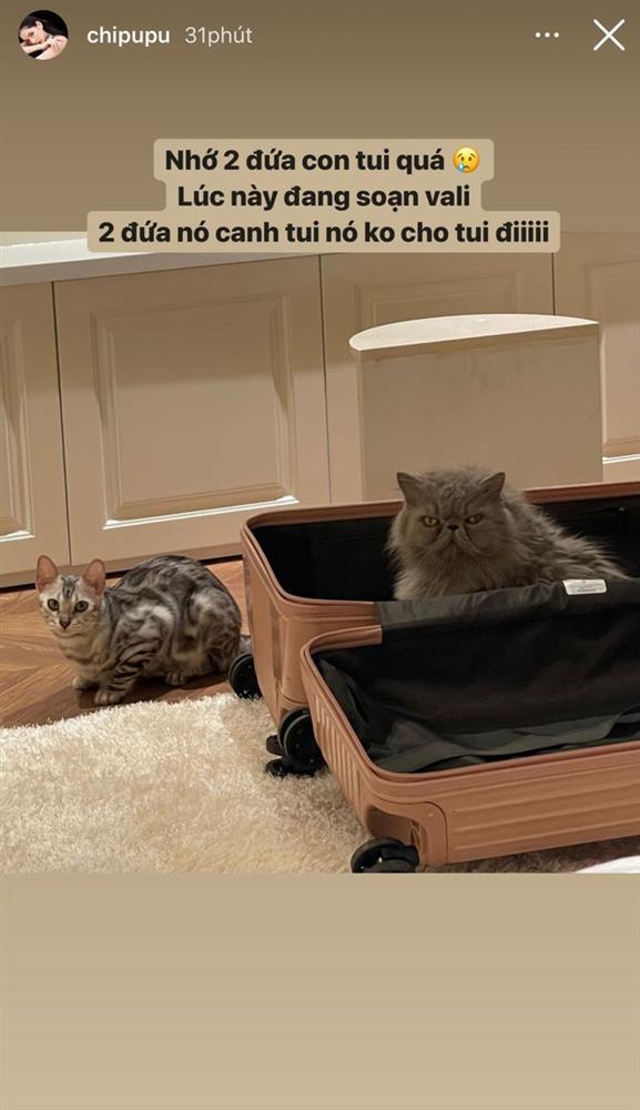 Chi Pu có động thái mới giữa lúc bị soi vòng 2 to bất thường-1