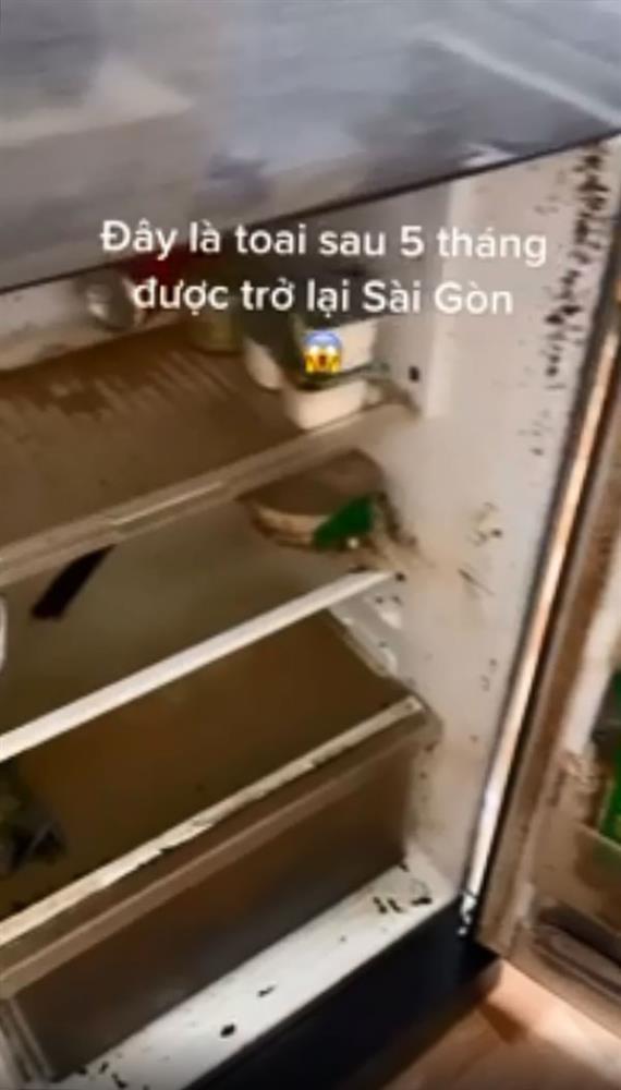 5 tháng trở lại Sài Gòn, cô gái sốc thứ để trong tủ lạnh-1
