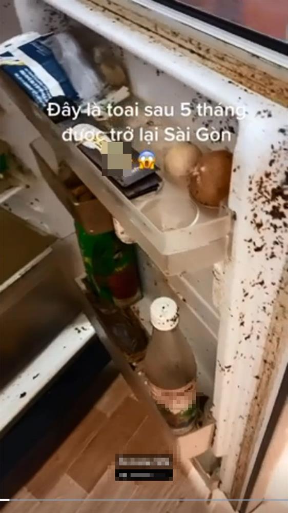 5 tháng trở lại Sài Gòn, cô gái sốc thứ để trong tủ lạnh-2