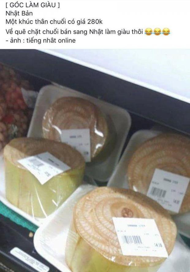 Thân chuối ở Việt Nam vứt chỏng chơ, sang nước ngoài giá siêu đắt-3
