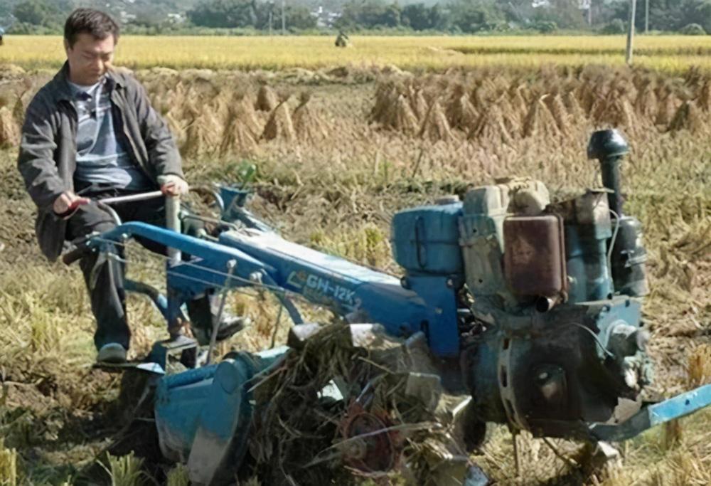 Vua hài bỏ showbiz về quê nuôi gà, đổi đời thành phú ông trăm tỷ-3