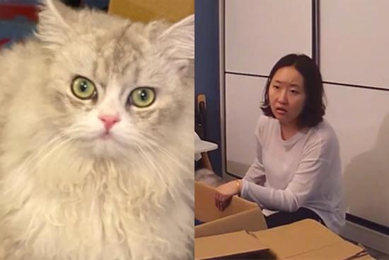 Cặp đôi chia tay đòi mèo, bạn trai không chăm vẫn muốn giành đến cùng