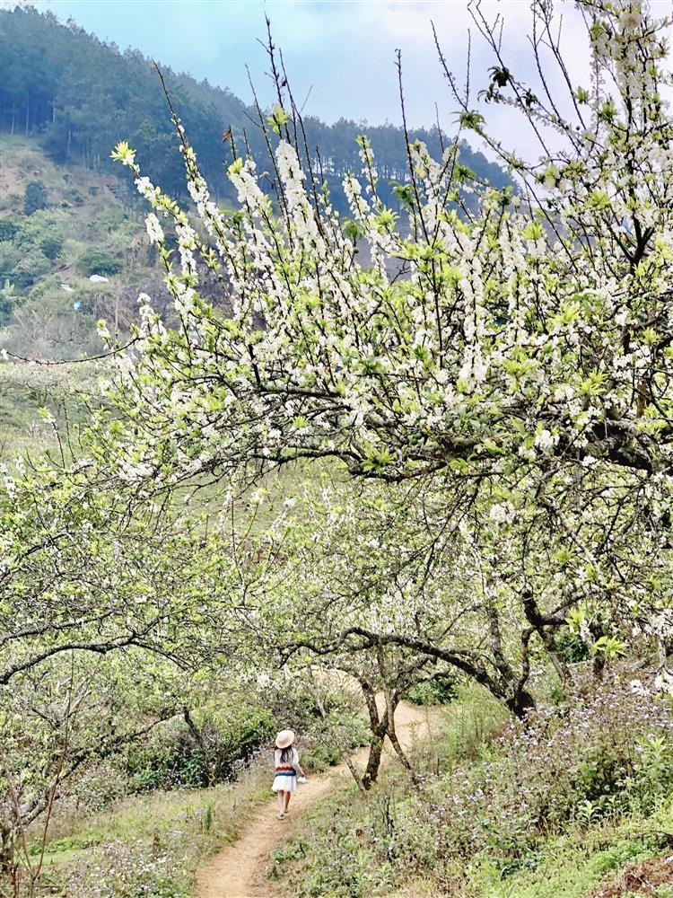 Mắc kẹt ở Mộc Châu, gia đình Hà Nội cuốc đất làm vườn, trèo đèo lội suối-5