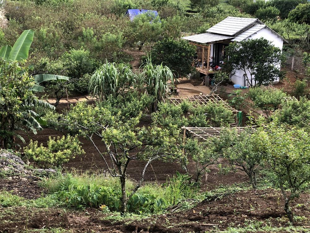 Mắc kẹt ở Mộc Châu, gia đình Hà Nội cuốc đất làm vườn, trèo đèo lội suối-7