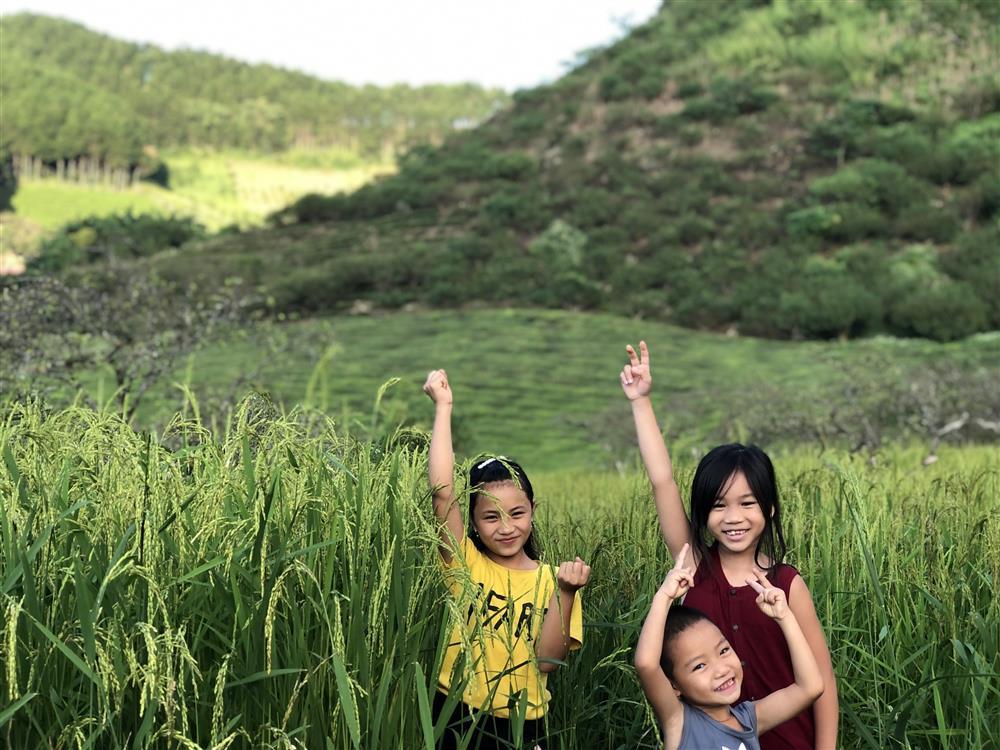 Mắc kẹt ở Mộc Châu, gia đình Hà Nội cuốc đất làm vườn, trèo đèo lội suối-15