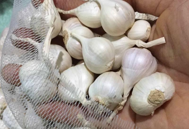 5 cách bảo quản tỏi cực đơn giản, để cả năm không lo hỏng-1