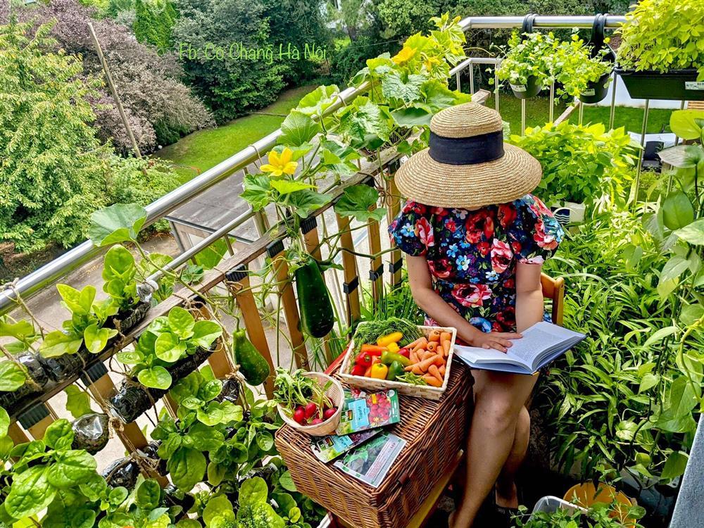 Khu vườn tí hon 2,5m2 nhưng giữ lửa bếp nhà tuyệt vời đẹp-1