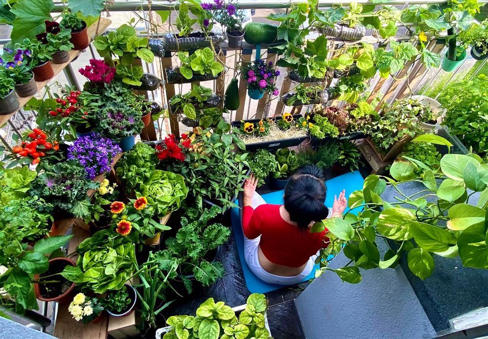 Khu vườn tí hon 2,5m2 nhưng giữ lửa bếp nhà tuyệt vời đẹp-12