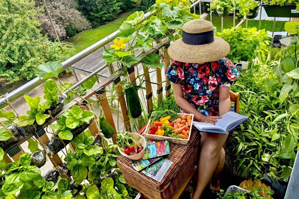 Vườn rau chống dịch chỉ 20m2 mà xanh mướt, không thiếu thứ gì-9