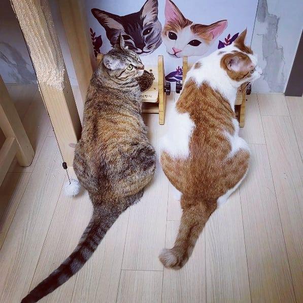 Ác nhân Squid Game hóa ra ngoài đời lại cute lạc lối-6