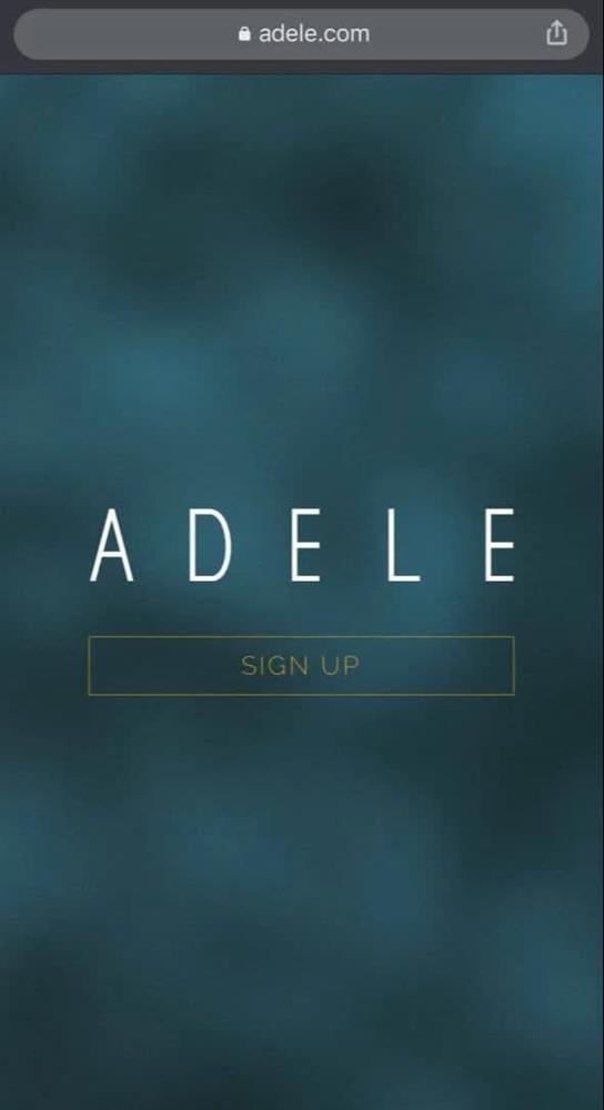 Adele vừa có động thái trên MXH khiến cả làng nhạc tới công chuyện!-3