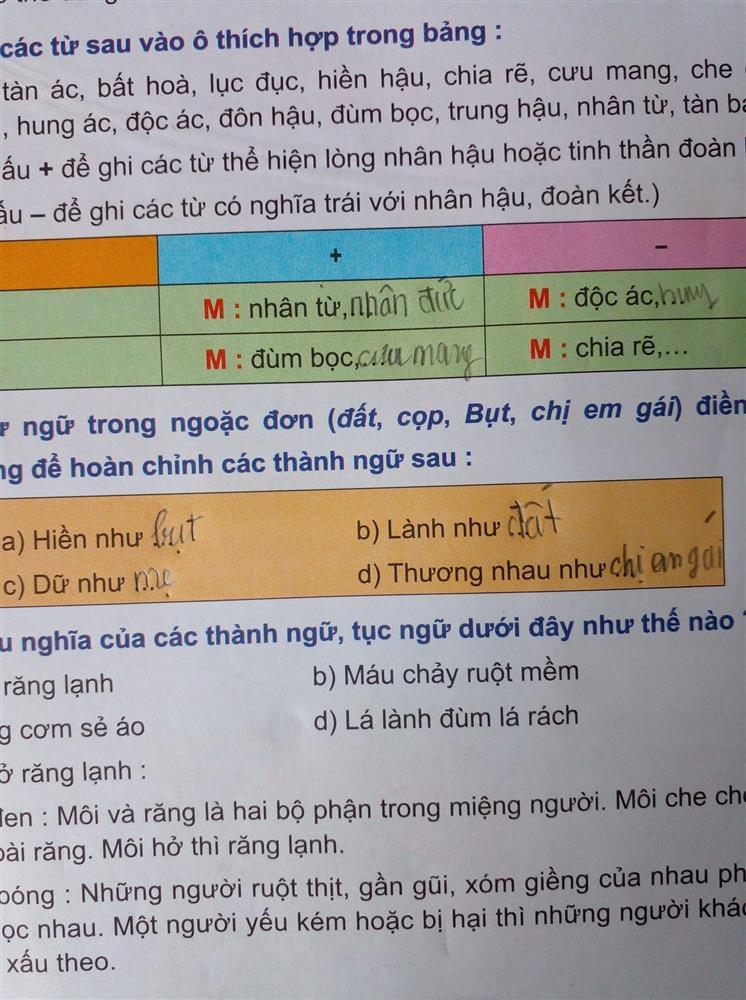 Học trò lớp 1 điền thành ngữ, sáng tạo tới nỗi giáo viên xin quỳ-2