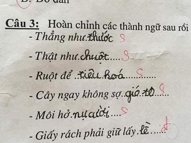 Học trò lớp 1 điền thành ngữ, sáng tạo tới nỗi giáo viên xin quỳ-6