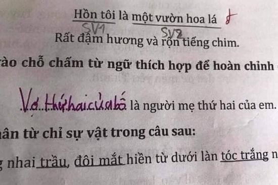 Học trò lớp 1 điền thành ngữ, sáng tạo tới nỗi giáo viên xin quỳ
