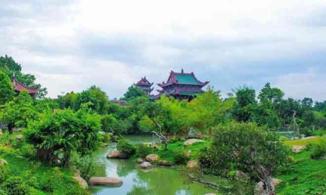 Thiên Hưng Tự: Phượng Hoàng Cổ Trấn giữa lòng Bình Định-3