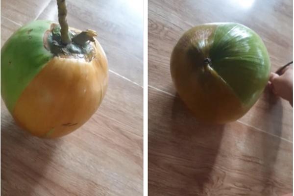 Người đàn ông đốn được cây sấu hình bông hoa, hiếm hơn lan đột biến-2