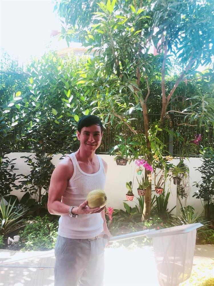 Lý Hải xây dựng phim trường ở Lâm Đồng, tài sản khủng cỡ nào?-3