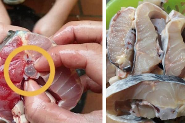 Trời lạnh làm ngay nồi lẩu bổ dưỡng nóng bỏng lưỡi, cả nhà ăn cạn-7