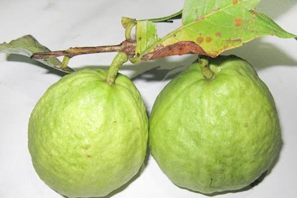 Câu trúng cá nhỏ nên thả đi, 2 tháng sau không tin nổi sự thật-2