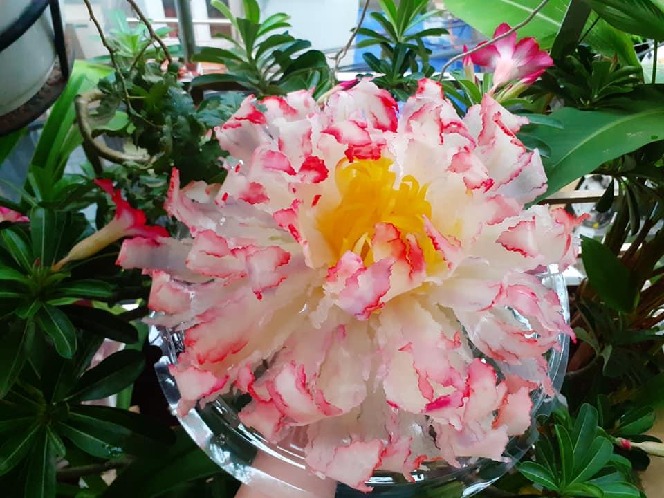 Rau củ biến thành hoa qua đôi tay tuyệt phẩm khéo léo-8