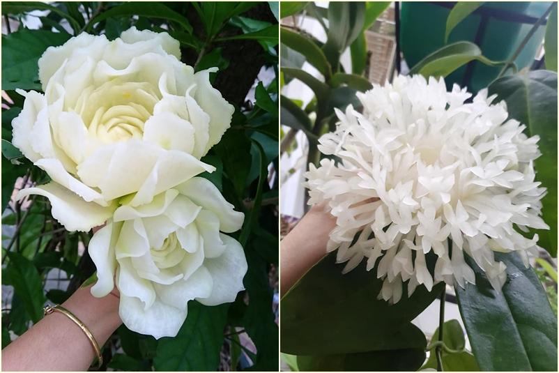 Rau củ biến thành hoa qua đôi tay tuyệt phẩm khéo léo-3