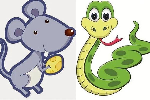 Tử vi Chủ Nhật 10/10/2021 của 12 con giáp: Tý thù lâu nhớ dai-5