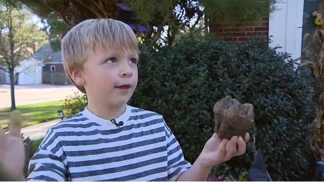 Bé 6 tuổi bất ngờ khai quật hóa thạch quái thú kỷ băng hà-1