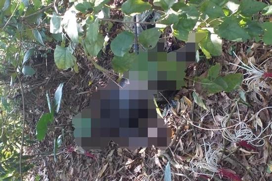 Phát hiện thi thể phân hủy nặng trong bụi rậm, gần nghĩa trang