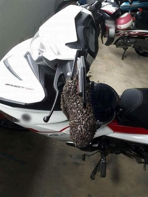 Nghỉ dịch mấy tháng mới xuống nhà xe, nổi gai ốc khi thấy xe máy!-1