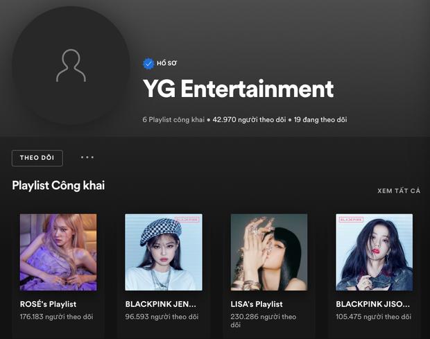 Lisa bay màu trên YouTube, YG tụôt cổ phiếu do Jennie và Jisoo rút?-10