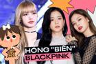 Lisa 'bay màu' trên YouTube, YG tụôt cổ phiếu do Jennie và Jisoo rút?