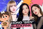 Lisa 'bay màu' trên YouTube, YG tụôt cổ phiếu do Jennie và Jisoo rút?