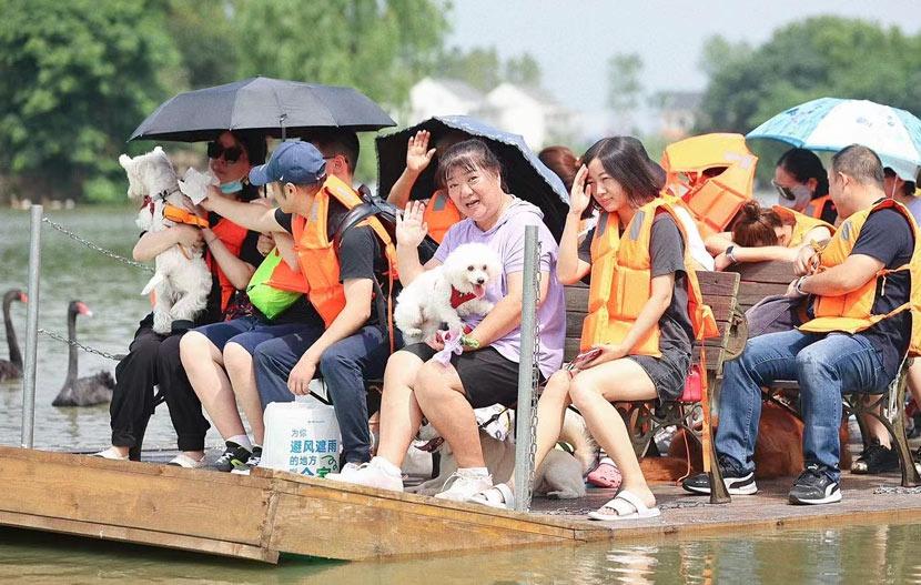 Trào lưu đưa thú cưng đi du lịch ở Trung Quốc-1