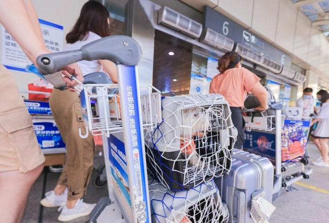 Trào lưu đưa thú cưng đi du lịch ở Trung Quốc-2