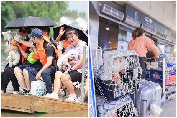 Tưởng mẹ công tâm chia đồ ăn cho mình và chó, sự thật ngã ngửa-4