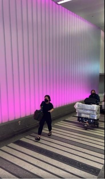 Việt Hương òa khóc trao tro cốt Phi Nhung cho con gái-5