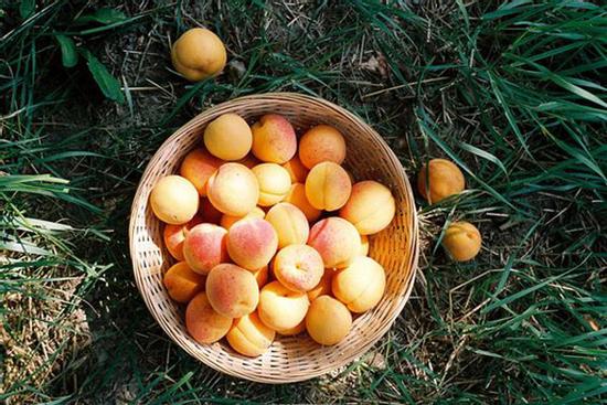 Tử vi tuần mới 12 cung hoàng đạo 11/10 đến 17/10/2021: Hãy cân bằng cảm xúc!