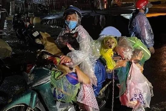 Chia sẻ bất ngờ của chính quyền xã vụ 15 chú chó bị tiêu hủy