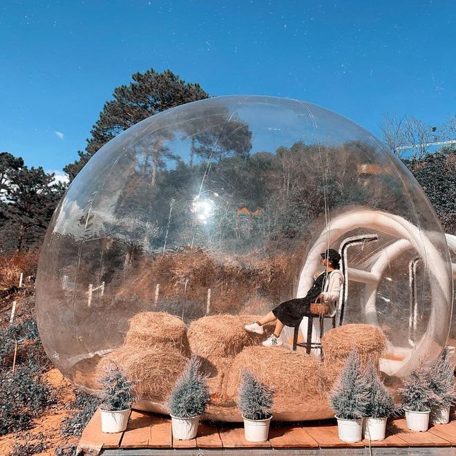 Xếp hàng 30 phút mới tới lượt chụp ảnh, nhóm bạn có tác phẩm để đời-4