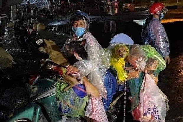 Chủ 15 chú chó bị tiêu hủy đã có việc làm, được tặng tiền khủng-7