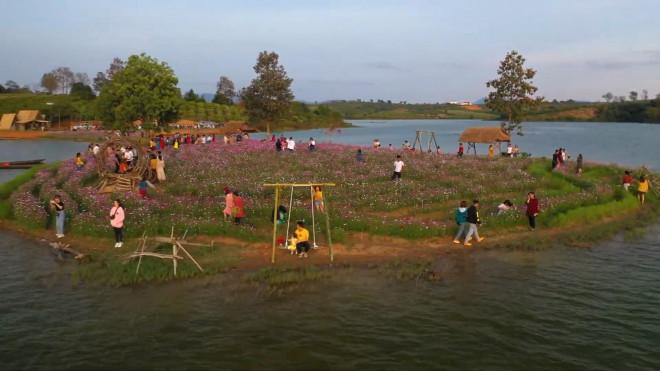 Đảo hoa Kon Trang Long Loi - Có nơi nào đẹp hơn?-4