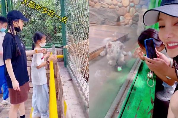 Người đẹp cắm sừng Lý Tiểu Lộ nửa đêm livestream khóc nấc-4