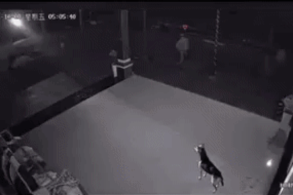 Đi chôm đồ, tên trộm dựng tóc gáy khi 1 giọng nói vang lên-1