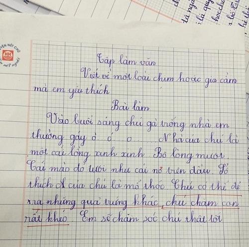 Những bài văn học trò tả người thân trần trụi đến phũ phàng-7