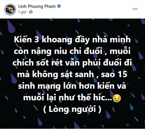 Tình tin đồn Nhật Kim Anh bị xóc xiểm khi nói không sát sinh-1
