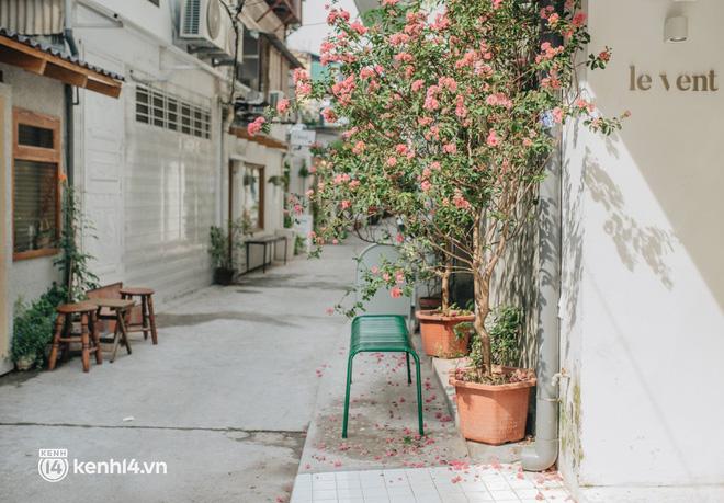 Trời Hà Nội đẹp muốn tan chảy: Chỉ muốn có ai đó để hẹn hò!-4