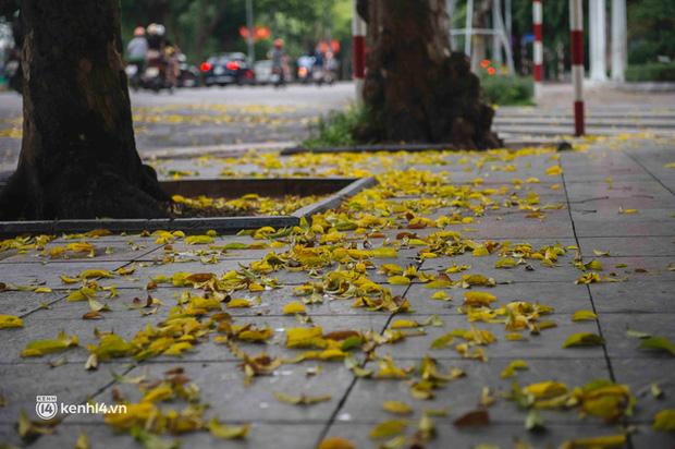 Trời Hà Nội đẹp muốn tan chảy: Chỉ muốn có ai đó để hẹn hò!-5