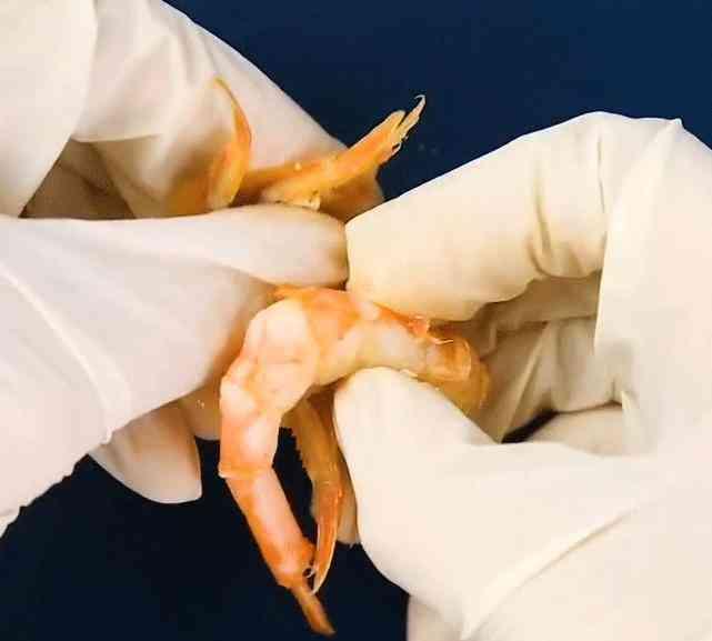 Bóc vỏ tôm nhanh và không dây bẩn, còn được khen duyên dáng-7