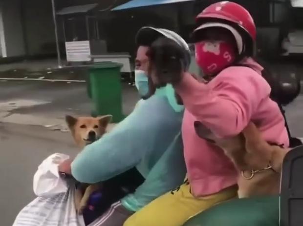 Cà Mau chuẩn bị lồng cho thú nuôi của bà con từ vùng dịch về-1